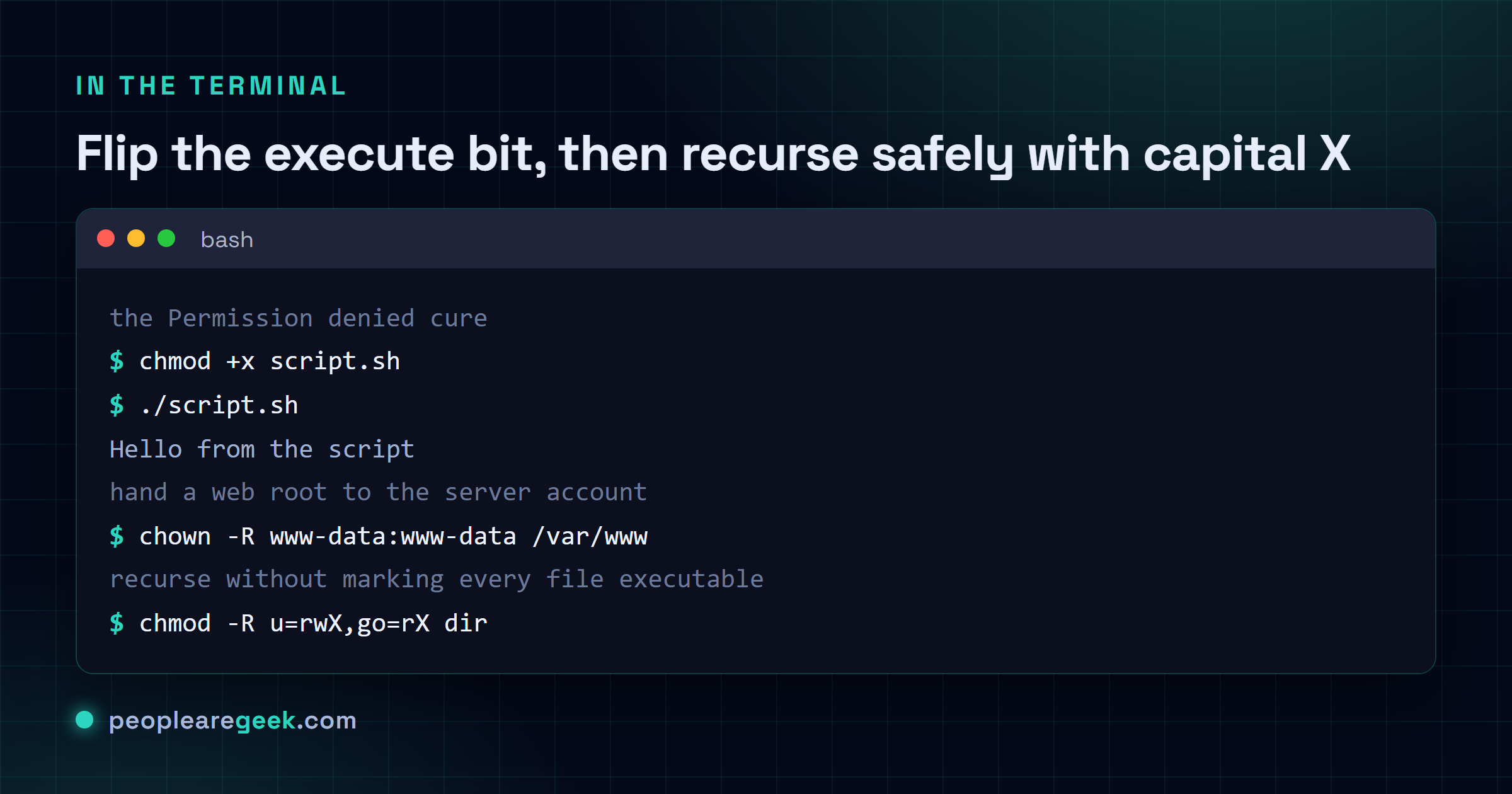 Terminal montrant chmod +x puis le lancement d'un script, chown -R www-data:www-data sur une racine web, et chmod -R u=rwX,go=rX pour récurser sans marquer chaque fichier exécutable.