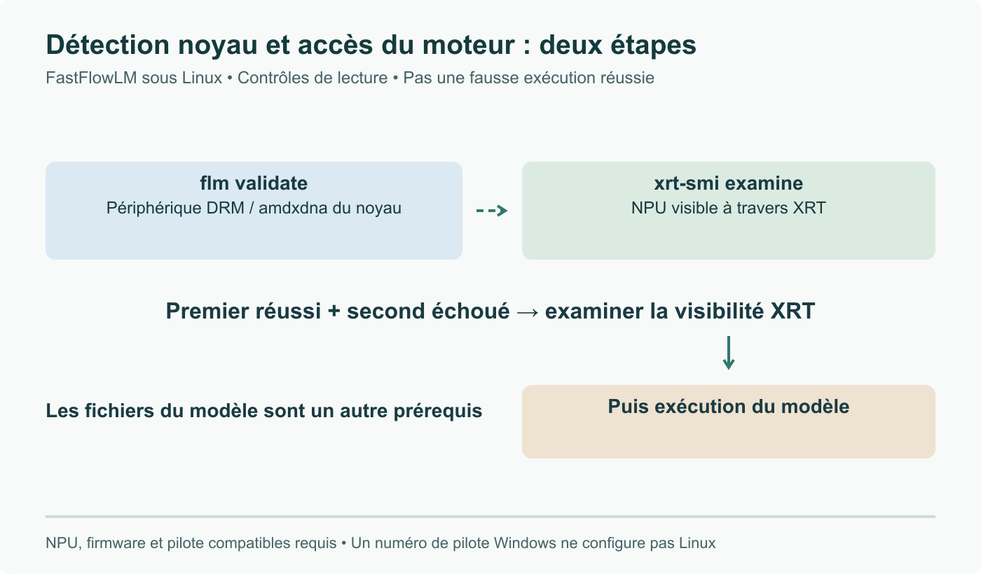Diagnostic Linux : flm validate contrôle le périphérique DRM du noyau ; xrt-smi examine contrôle sa visibilité XRT, nécessaire à l’exécution. Réussir le premier ne prouve pas le second. Schéma, pas capture de terminal.