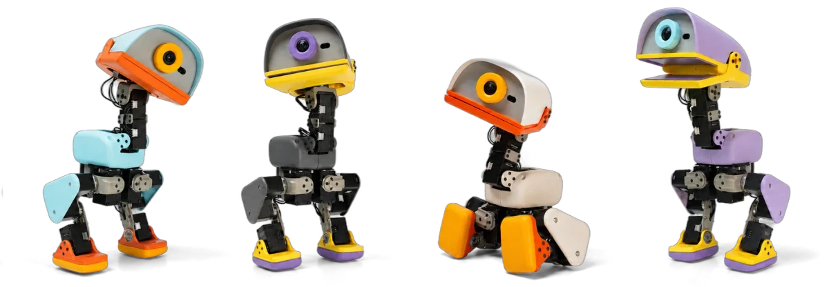 Quatre robots Microduck de Pollen Robotics dans des coloris différents, chacun un bipède de 25 centimètres avec un grand oeil caméra unique dans une tête arrondie, un bec coloré, des servomoteurs visibles dans les jambes et des pieds moulés.
