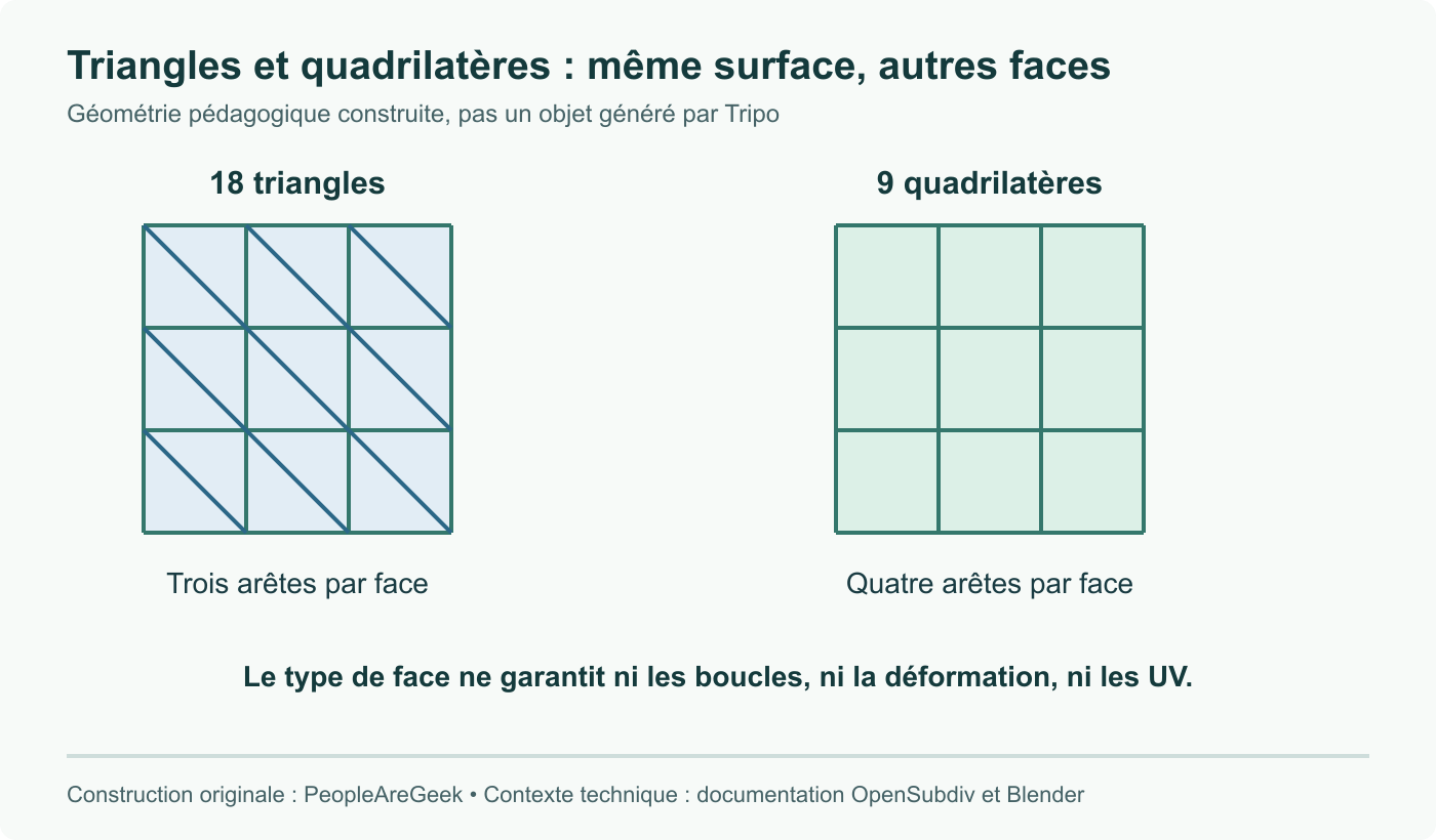 La même surface construite avec 18 triangles ou 9 quadrilatères. Illustration des connexions uniquement, sans génération Tripo ni comparaison de qualité visuelle.